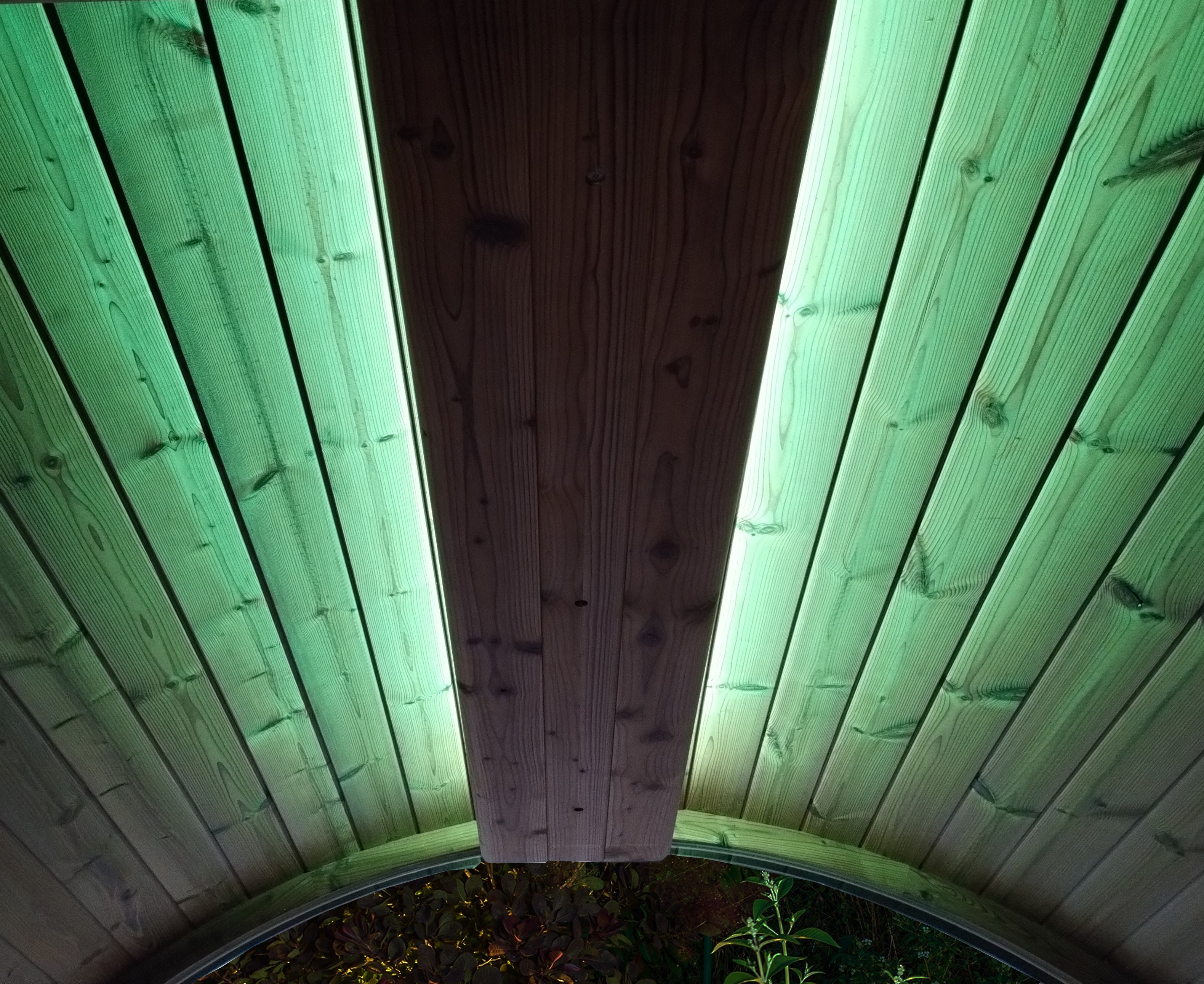 SaunaLife EMOOD Color Lighting for ERGO Sauna