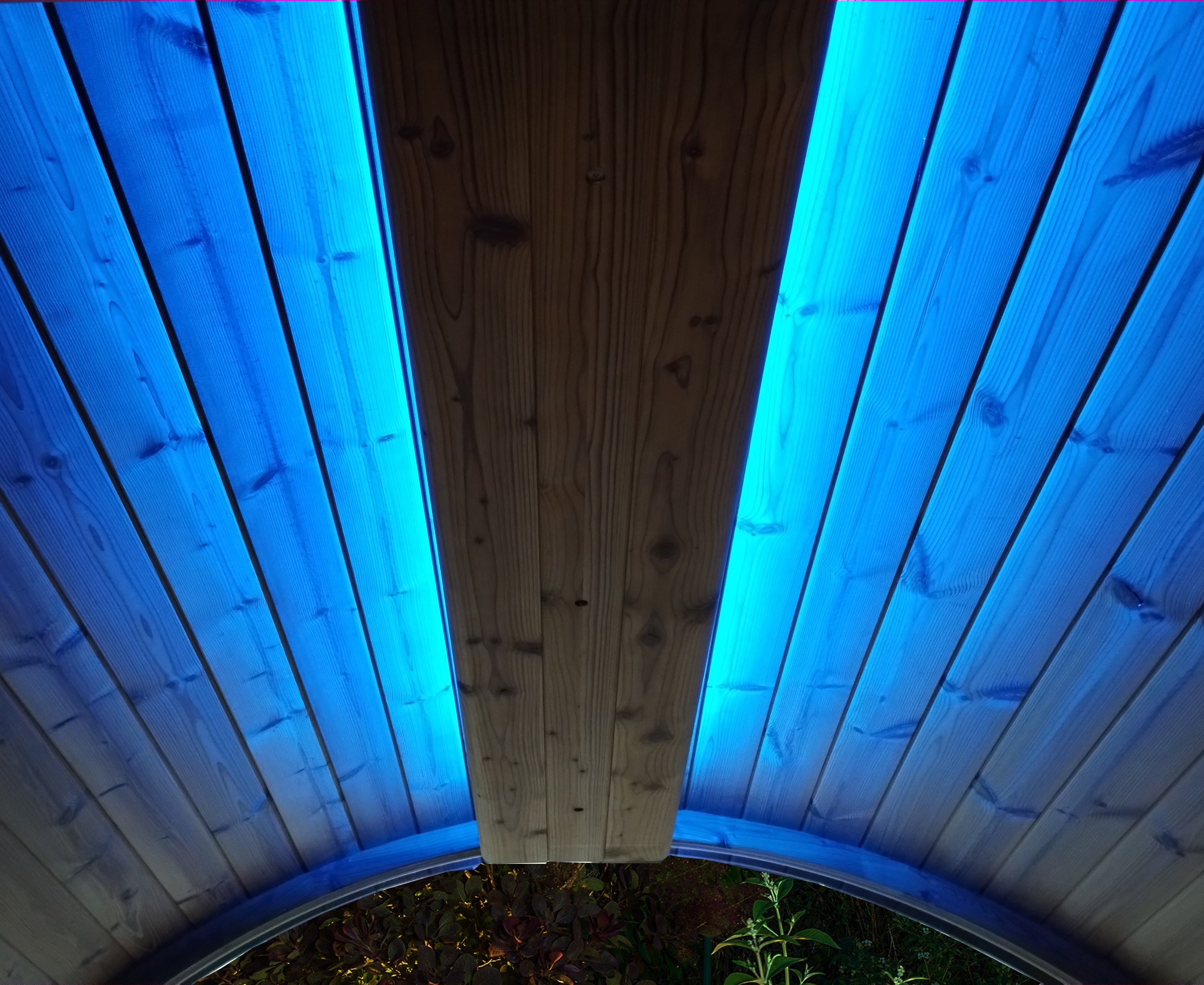 SaunaLife EMOOD Color Lighting for ERGO Sauna
