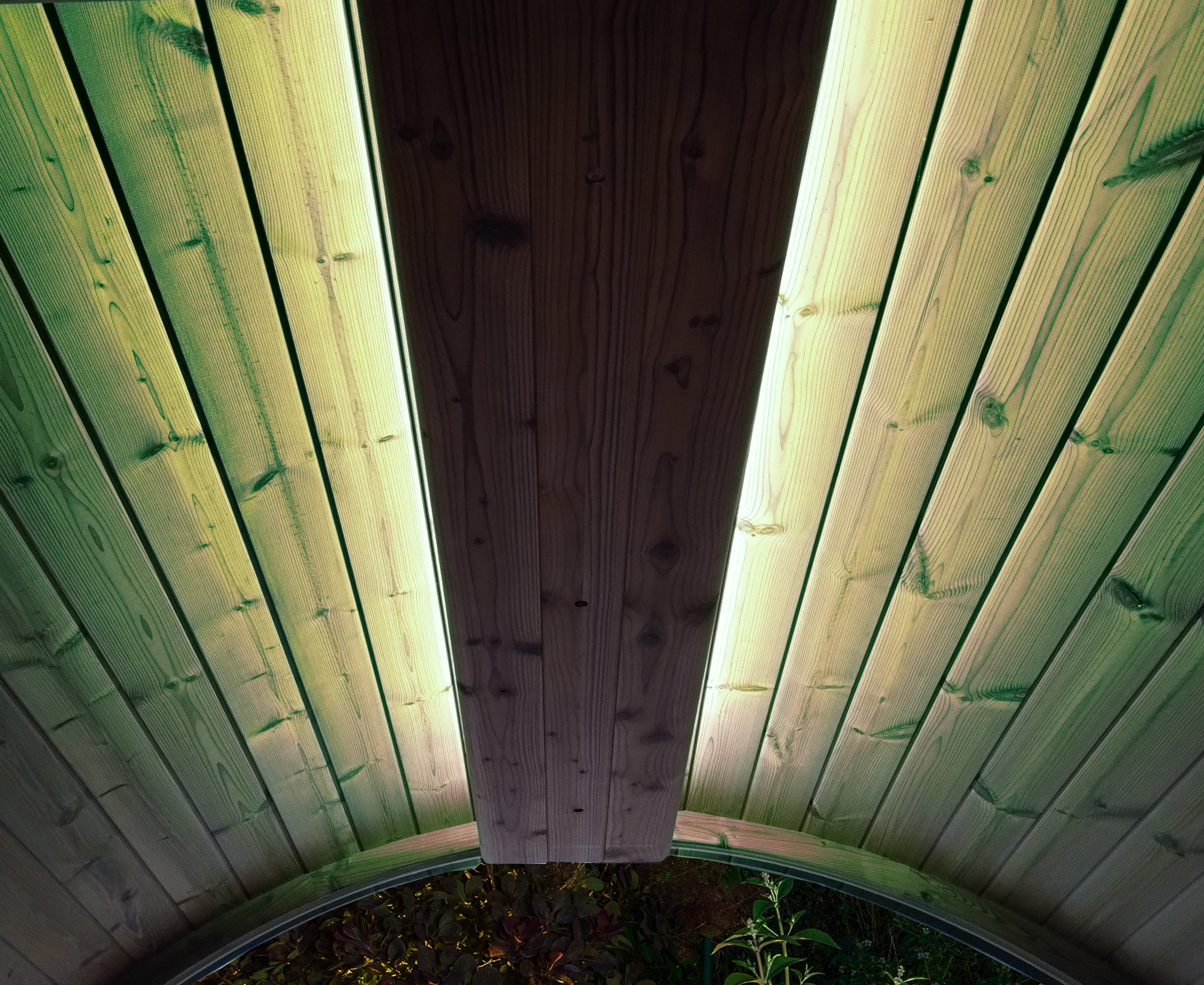 SaunaLife EMOOD Color Lighting for ERGO Sauna